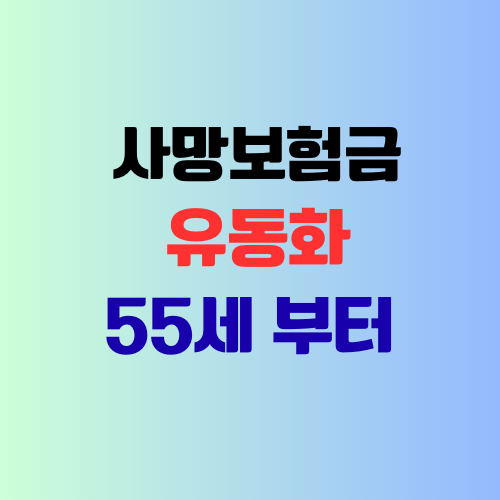 사망보험금 유동화