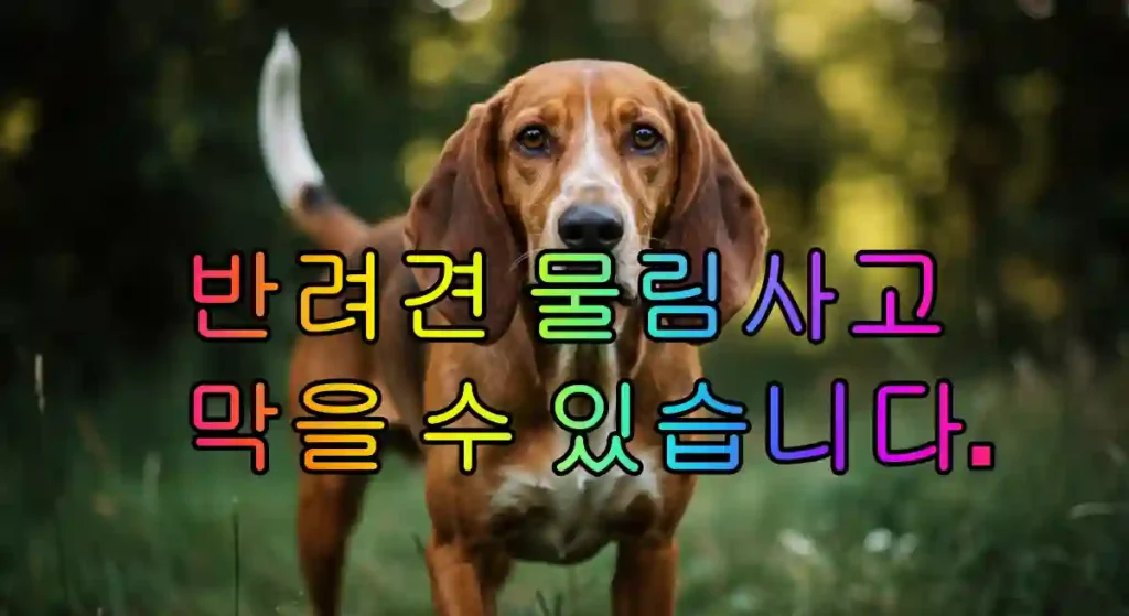 반려견-물림-사고-예방