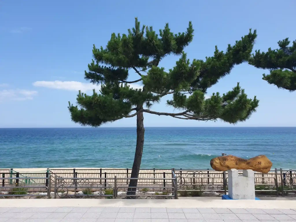 강릉 정동진 여행