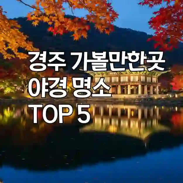 경주 여행 야경