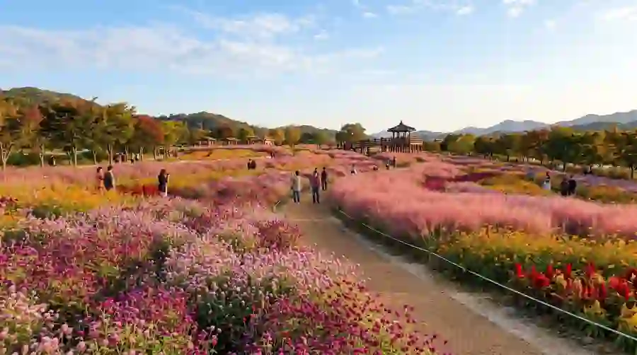 Yangju Nari Park